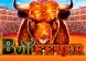 Bull Fever